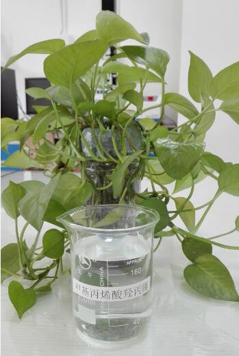 2-甲基-2-樱桃视频在线播放-1